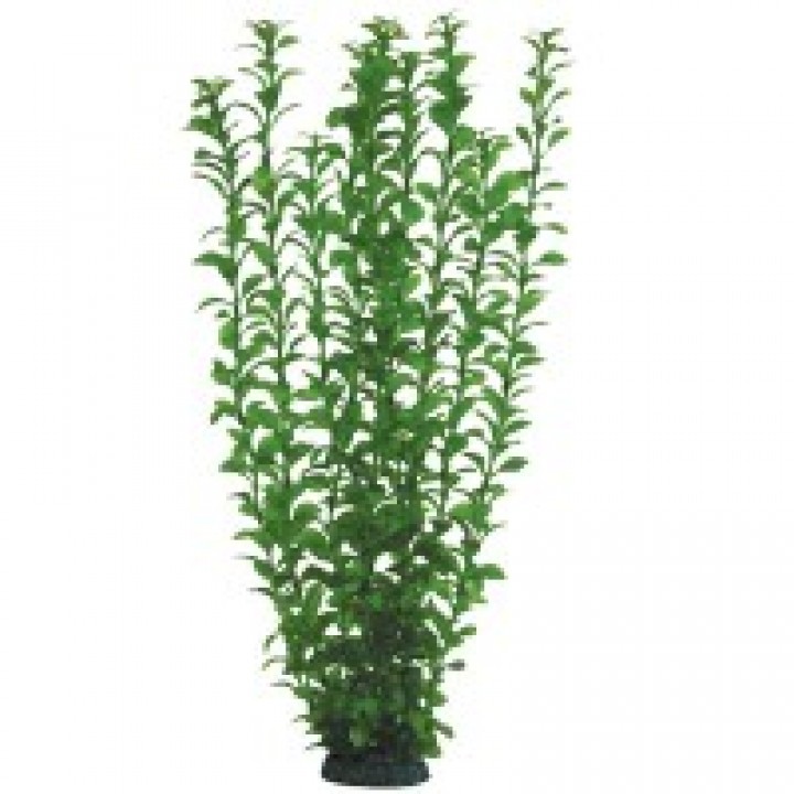 Растение пластиковое Людвигия зелёная, 50 см