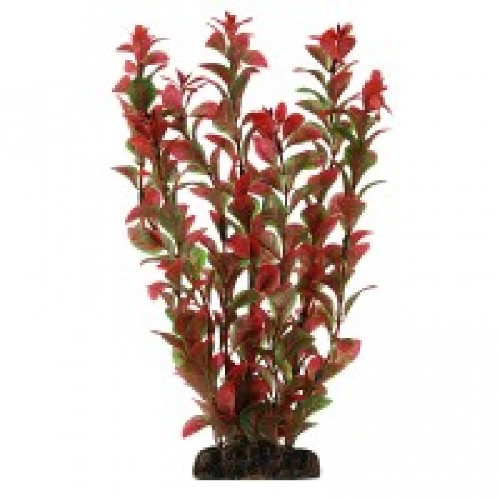 Растение пластиковое Людвигия красная, 50 см