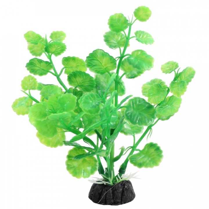 Растение пластиковое Щитолистник зелёный,10 см