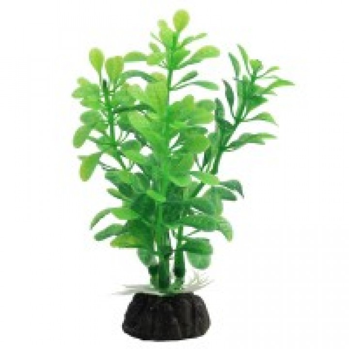 Растение пластиковое Альтернатера зелёная, 8 см