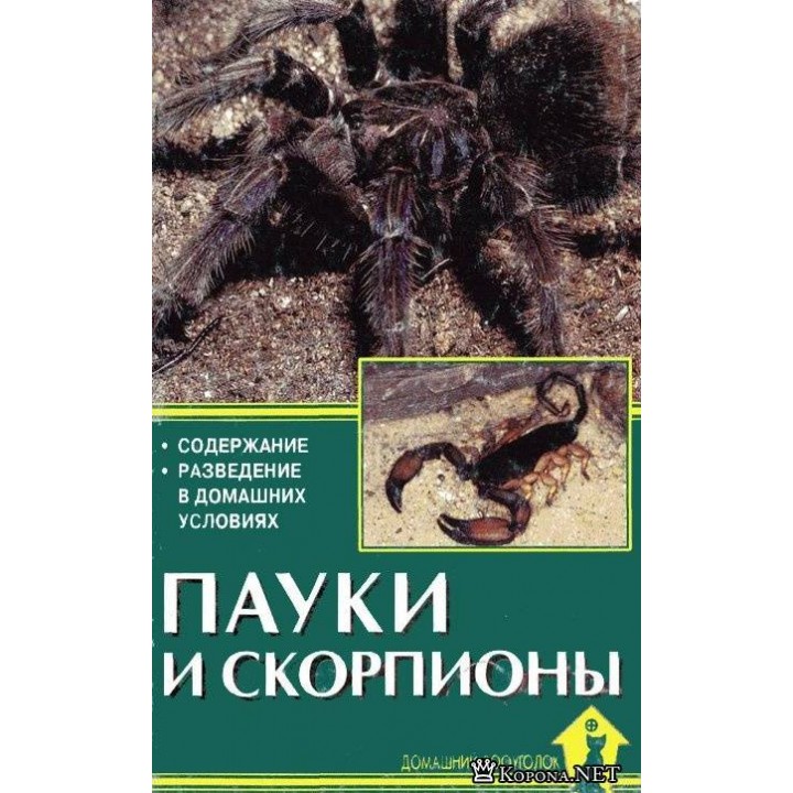 "Пауки и скорпионы"Чегодаев