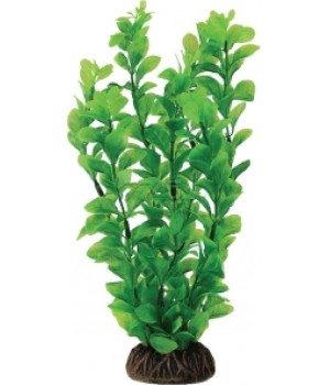Растение искусственное Людвигия зелёная, 10 см