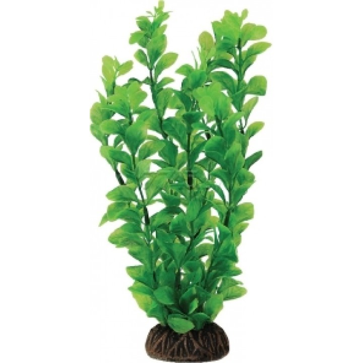 Растение искусственное Людвигия зелёная, 20 см