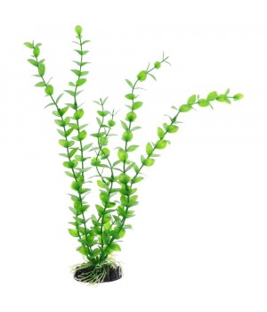 Растение искусственное Бакопа зелёная, 30 см