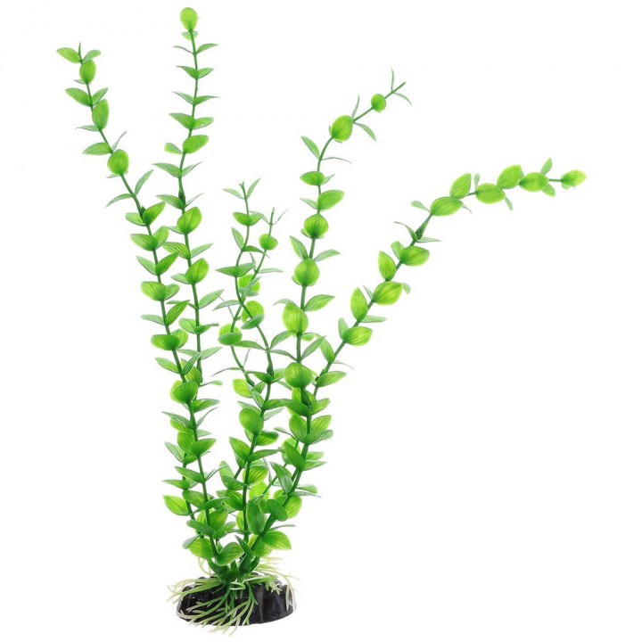 Растение искусственное Бакопа зелёная, 30 см