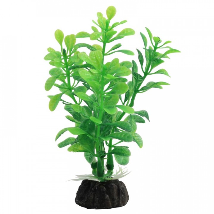 Растение искусственное Альтернатера зелёная, 10 см