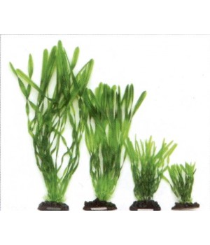 Растение пластиковое Валлиснерия спиральная, 30см, зеленое