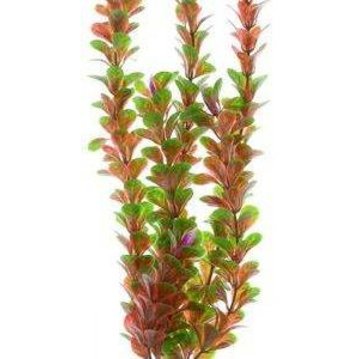 Растение пластиковое Людвигия 30см красно-зеленое