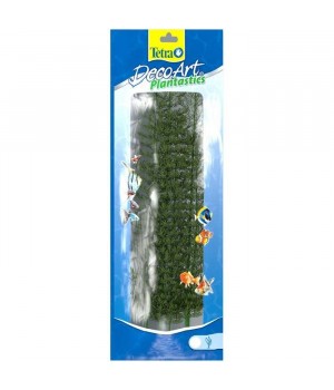 Тетра  растение аквариумное - Кабомба зеленая 3(L) 30 см