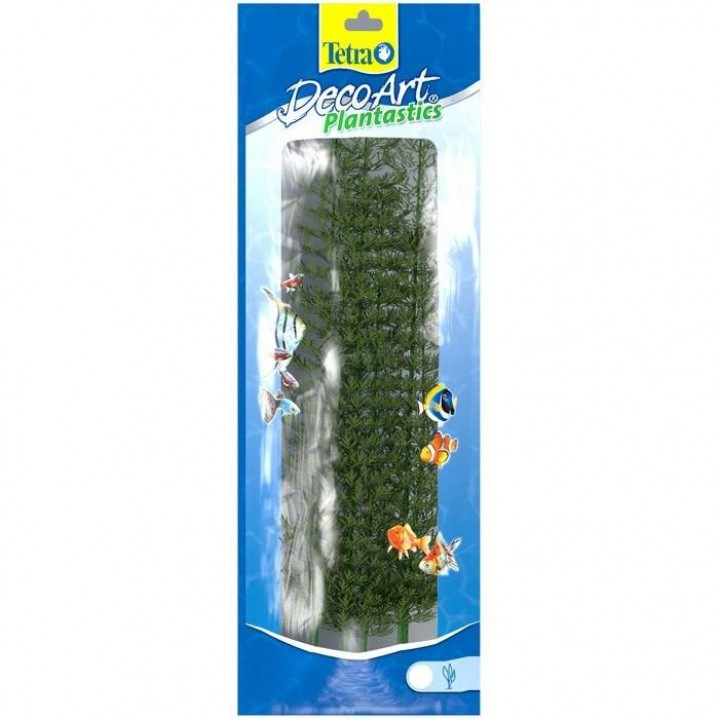 Тетра  растение аквариумное - Кабомба зеленая 3(L) 30 см
