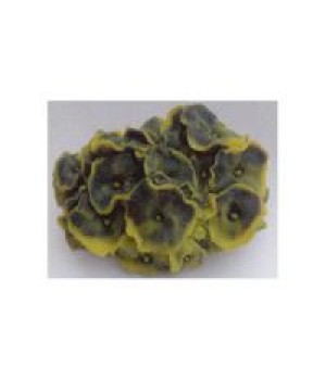 Декор из силикона Коралл жёлто-зеленый (мягкий) 14*12*7см.