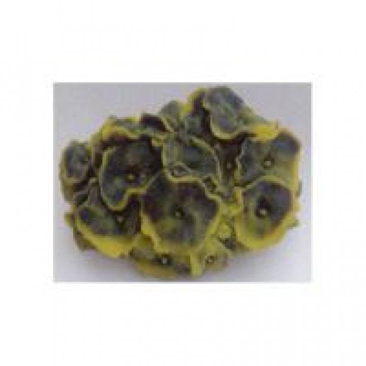 Декор из силикона Коралл жёлто-зеленый (мягкий) 14*12*7см.