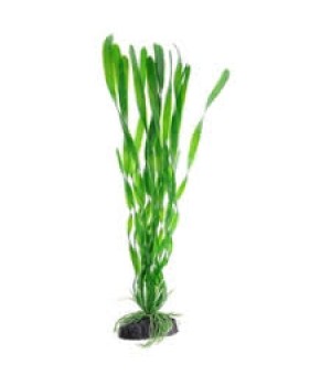 Растение пластиковое Валлиснерия спиральная, 40см, зеленое