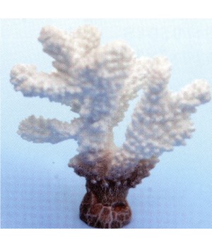 Коралл пластиковый белый 10,2х7,2х12 см (SH9203W)