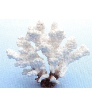 Коралл пластиковый белый 14,5х7,2х12,5 см (SH9201W)