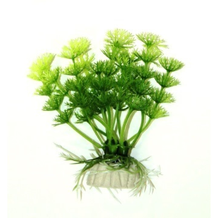 Растение искусственное Амбулия светло-зеленая 10см