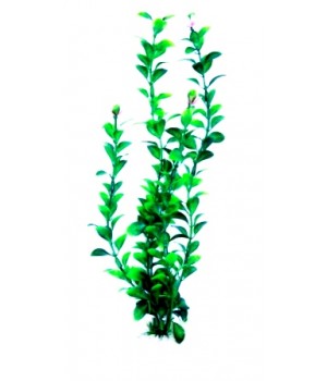 Растение искусственное Людвигия зеленая, 30 см