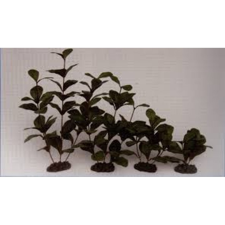Растение шелковое PRIME Гигрофила 40см