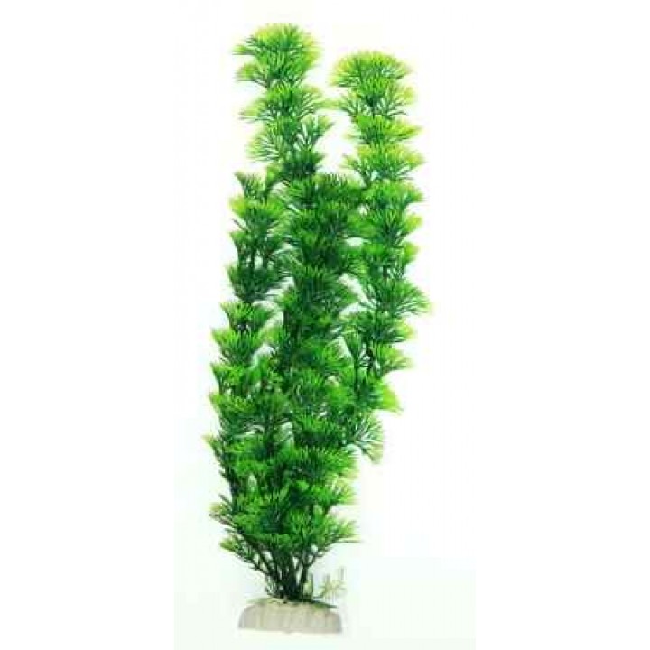 Растение искусственное Перистолистник темно-зеленый 20см