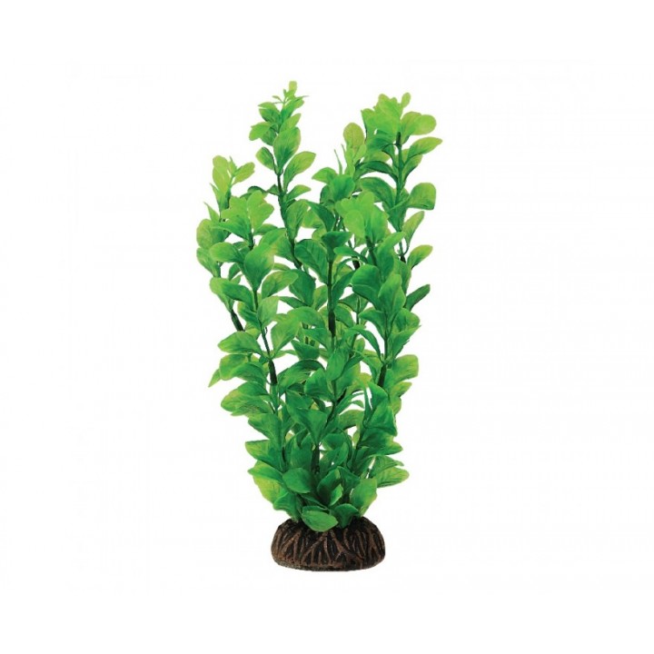 Растение искусственное Людвигия зеленая, 20 см