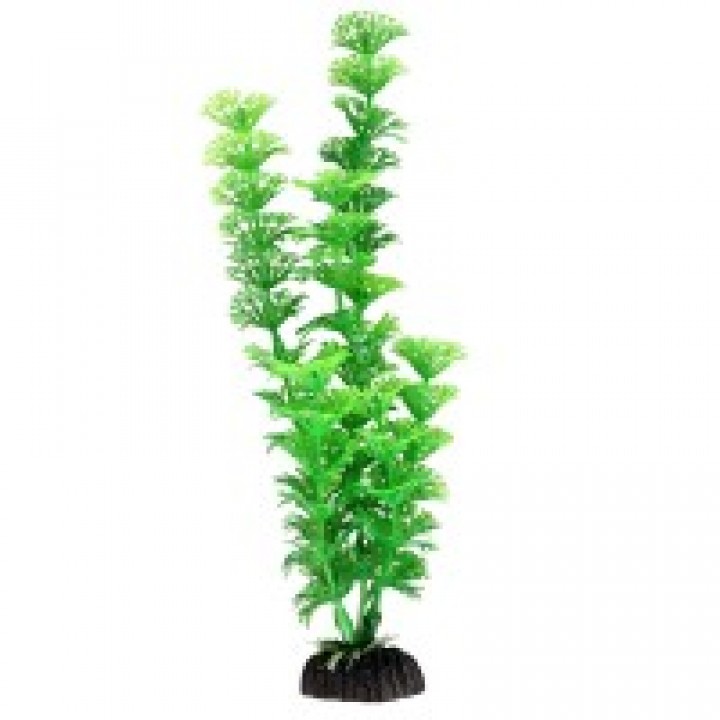 Растение пластиковое Амбулия зеленая, 30 см