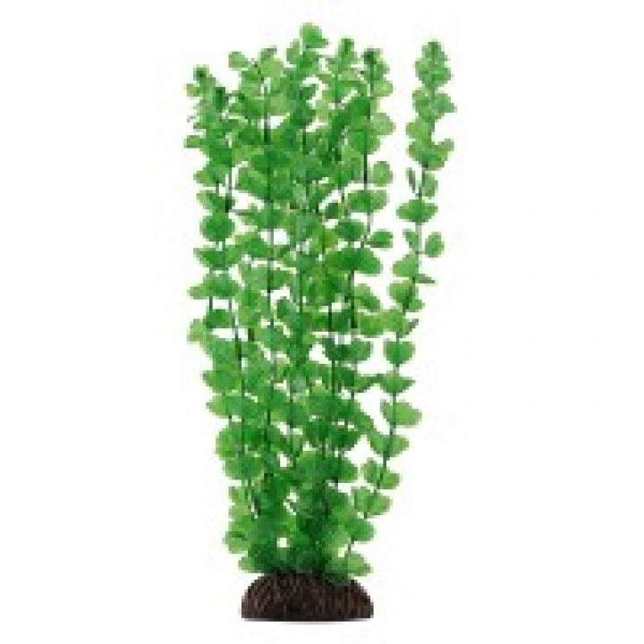 Растение пластиковое Бакопа зелёная, 20 см