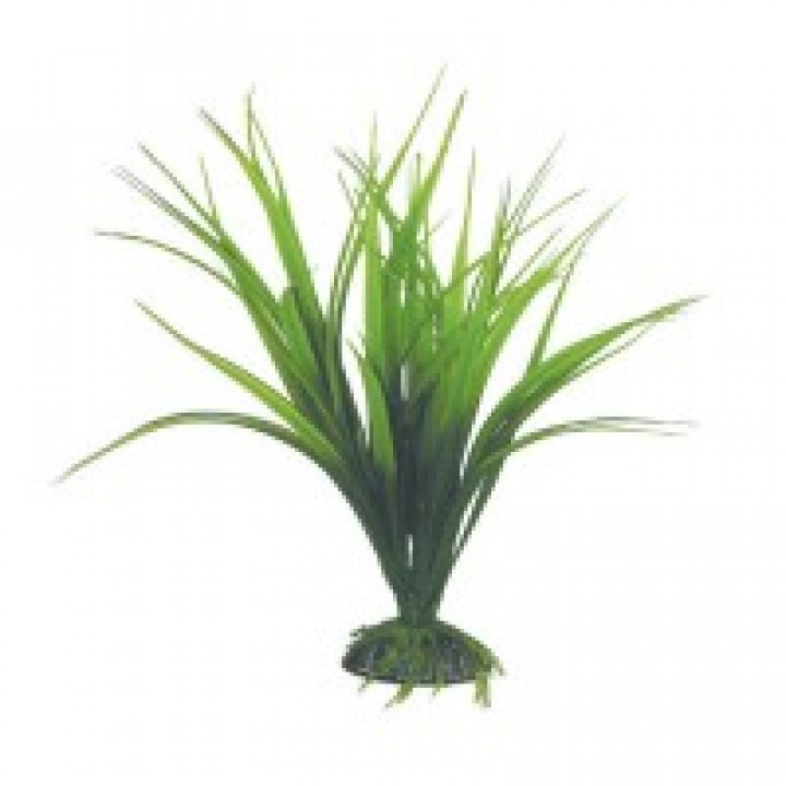 Растение пластиковое Сагиттария зелёная, 25 см
