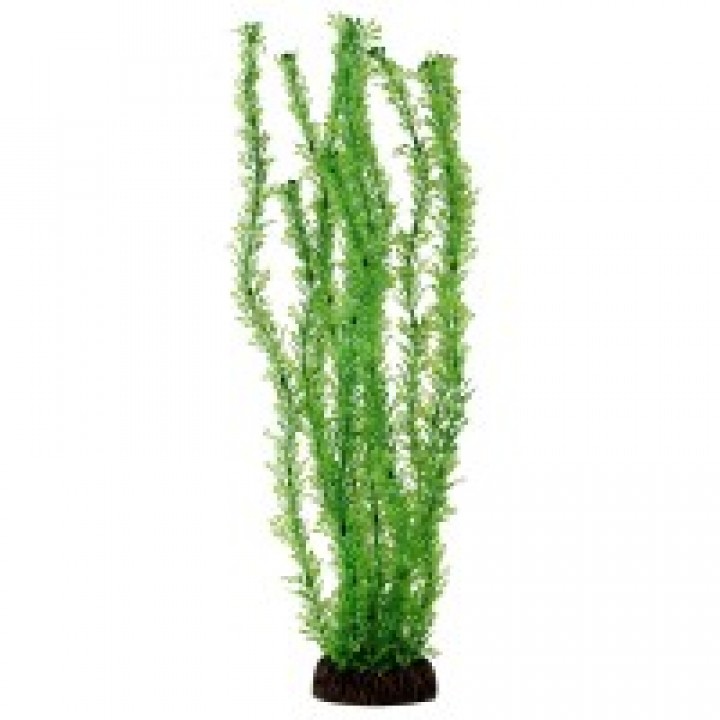 Растение пластиковое Лигодиум зелёный, 30 см
