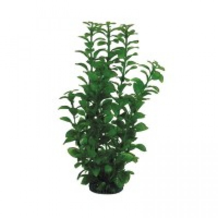 Растение пластиковое Людвигия зелёная, 30 см
