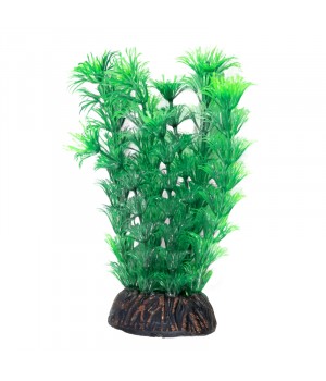Растение "Амбулия" зеленая, 200мм