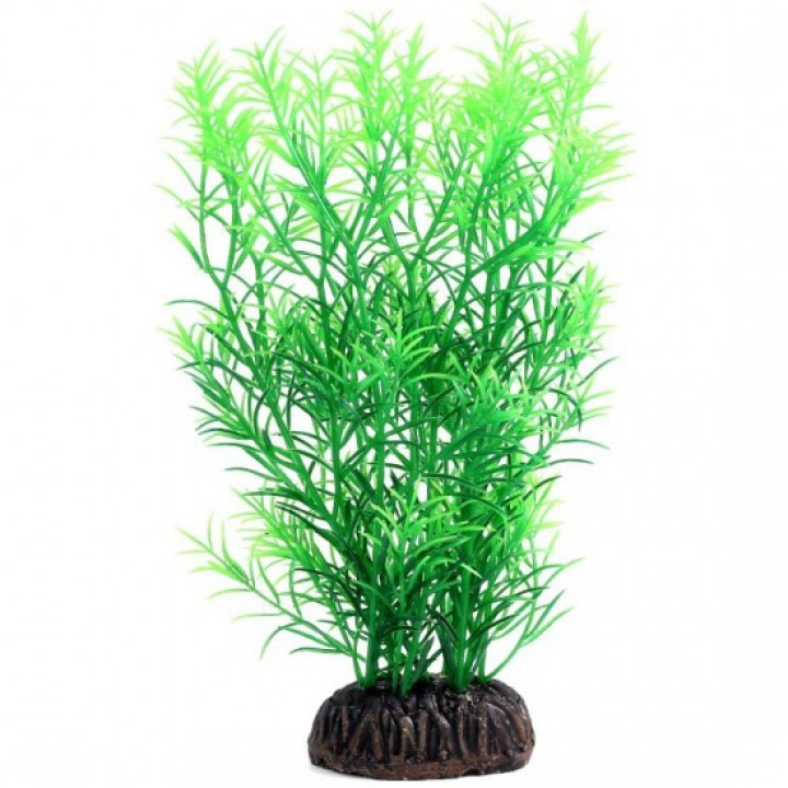 Растение "Гетерантера" зеленая, 200мм