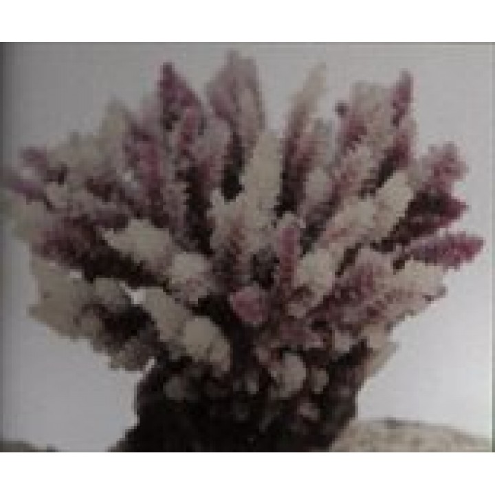 Декор из силикона Коралл коричневый (мягкий) 10,5*8,5*8см