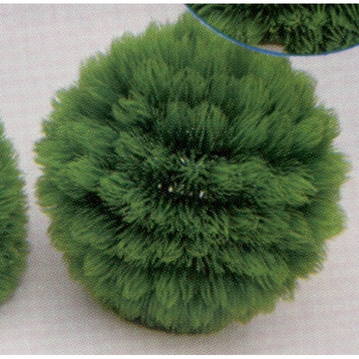 Растение пластиковое Шар D=22см зеленое