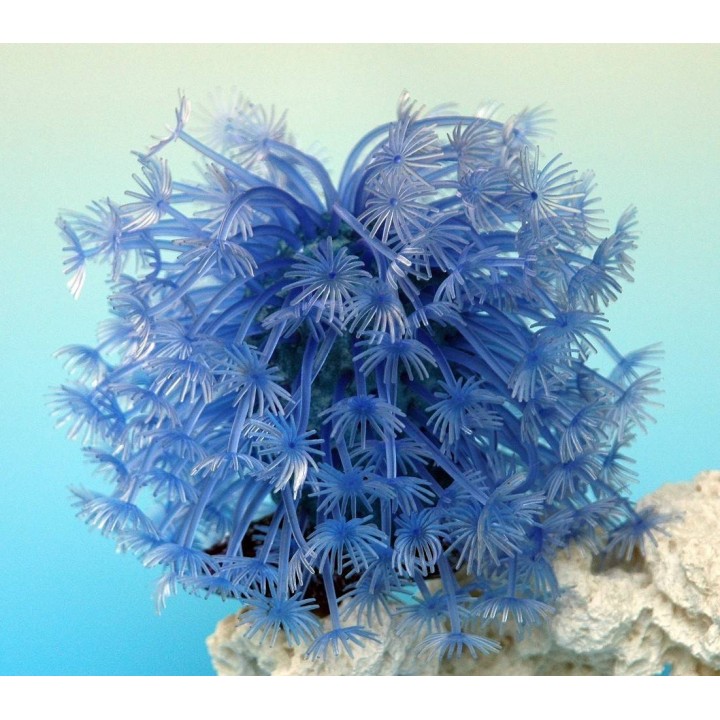 Декор из силикона Коралл синий мягкий 14*14*13см