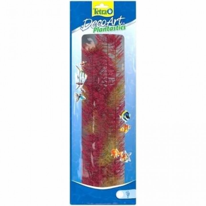 Тетра  растение аквариумное - Ред Фокстайл 3 (L) 30 см